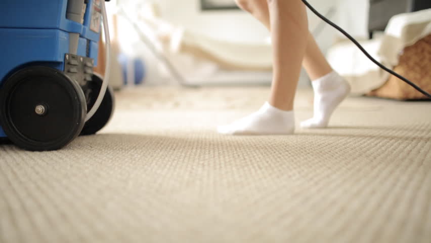 carpet cleaning expert