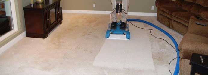 Carpet Drying Wollert