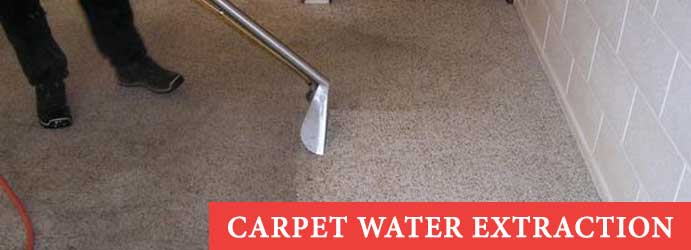Carpet Water Extraction