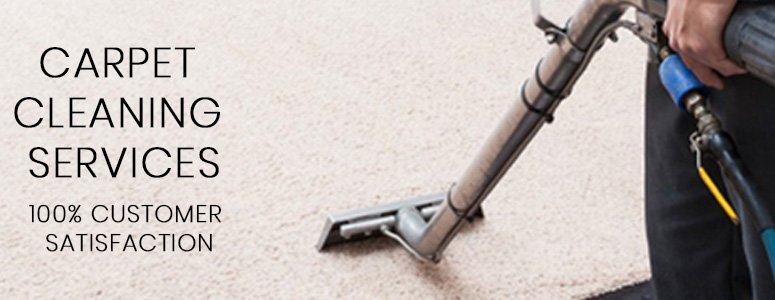 Same Day Carpet Cleaning Service