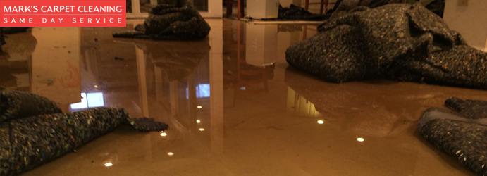 Best Carpet Flood Restoration Services Kilaben Bay