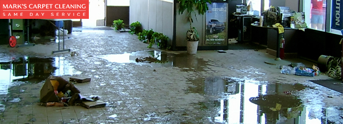 Carpet Flood Water Damage Recovery Services Sydney Markets