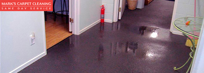 Carpet Water Damage Restoration Chatswood