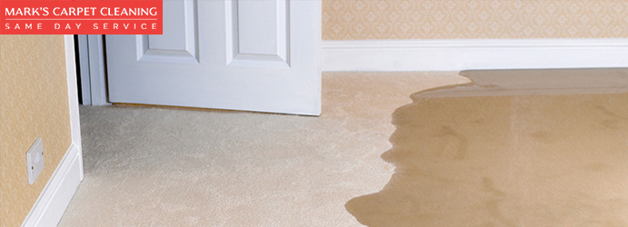 Water Damage Carpet Cleaning Chatswood