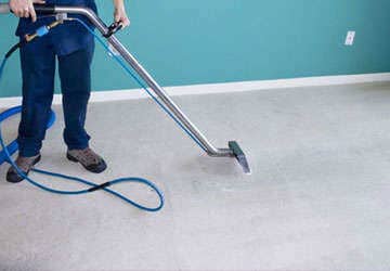 Carpet sanitising