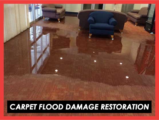 Carpet Flood Damage Restoration Darlington