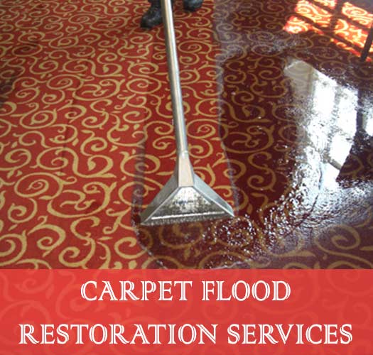 Carpet Flood Restoration Services Alice Creek