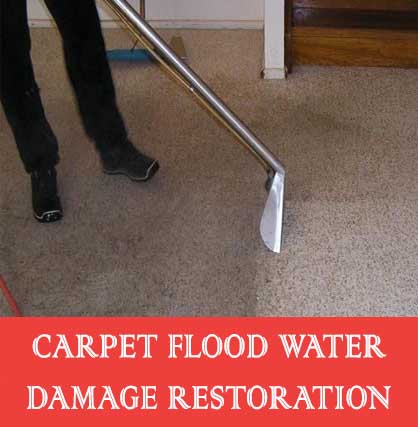 Carpet Flood Water Damage Restoration Homeleigh