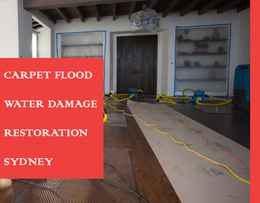 Carpet Flood Water Damage Restoration Cooyal