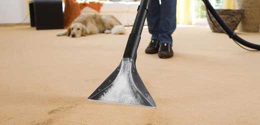 Carpet Sanitising Teringie