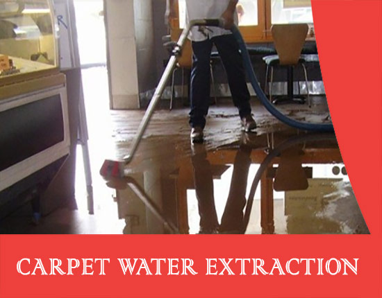 Carpet Water Extraction Brundee
