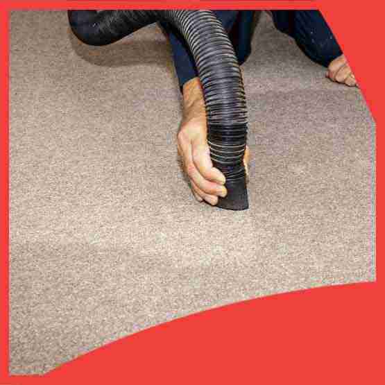 Professional Carpet Water Restoration Unley