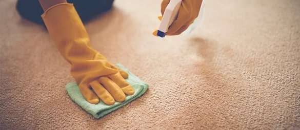 Carpet Stain Removal Services 1