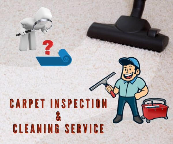carpet cleaning service Dandenong
