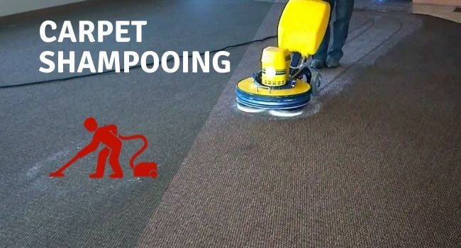 carpet shampooing