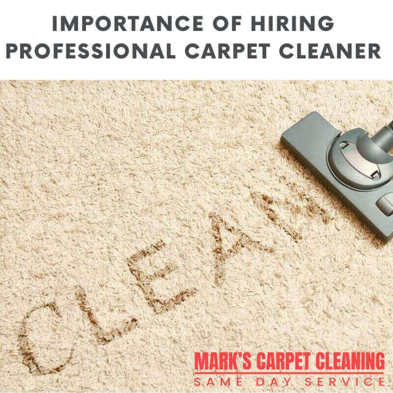Importance of Hiring Professional Carpet Cleaner