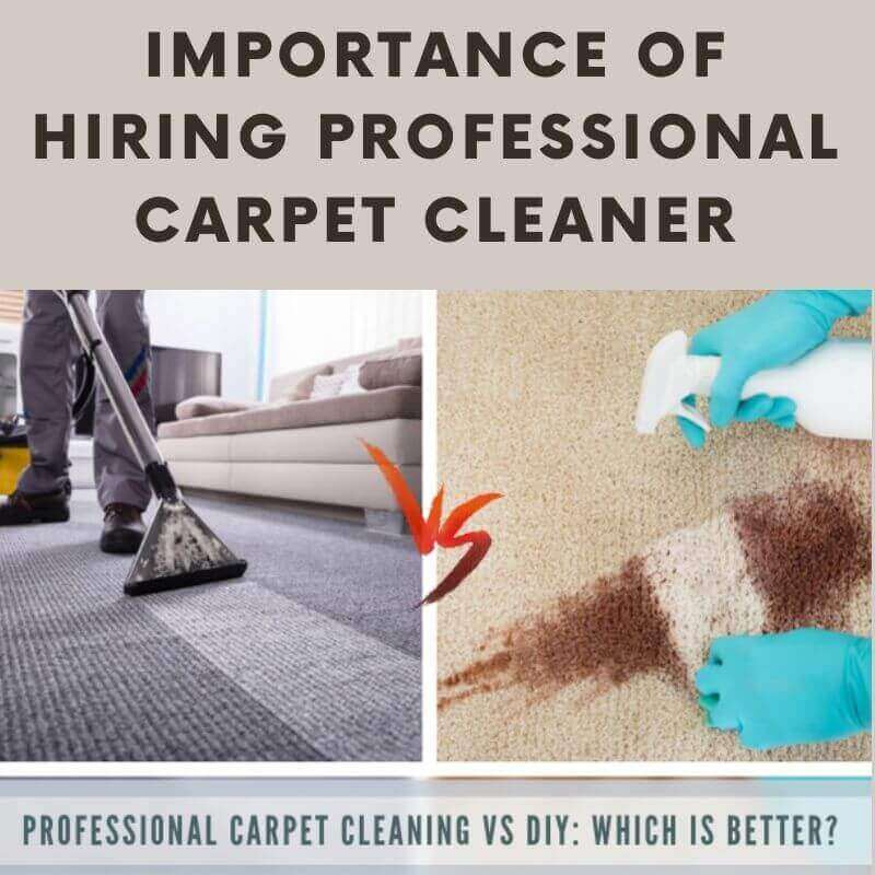 Importance of Hiring Professional Carpet Cleaning