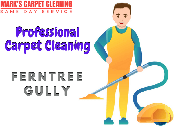 Ses carpet cleaning Ferntree Gully