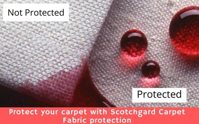 Scotchgard Carpet Fabric Protection