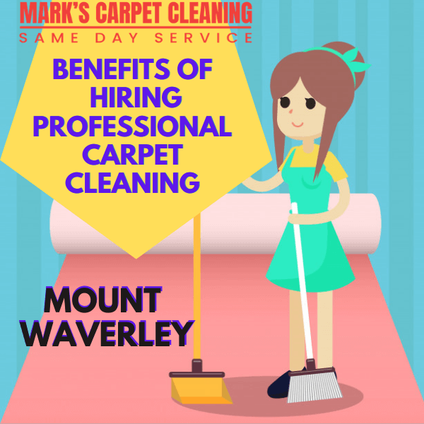 benefit of hiring Ses carpet cleaning Mount Waverley