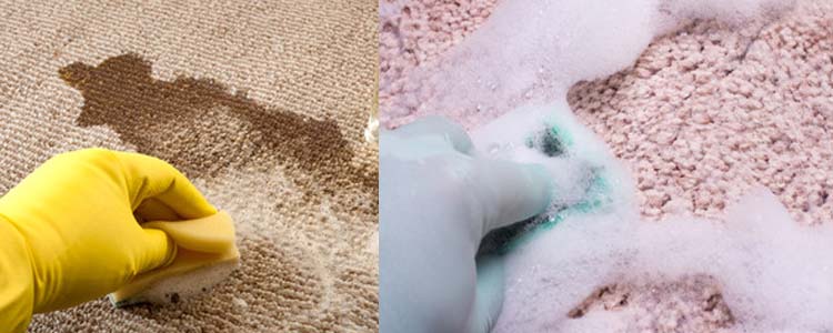 Advice And Secrets To Clean Your Carpet